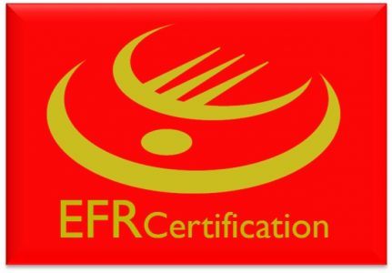 Welcome to EFRCert CQ REVIEW blog